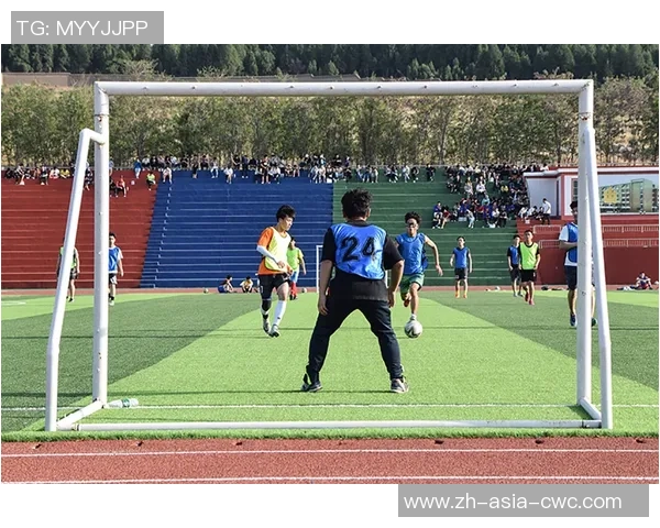 巴西足球的辉煌历程与未来发展展望：激情与梦想的交织