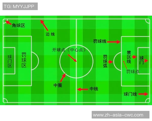 新手必看欧冠足球基础知识与技巧全面指南助你轻松入门